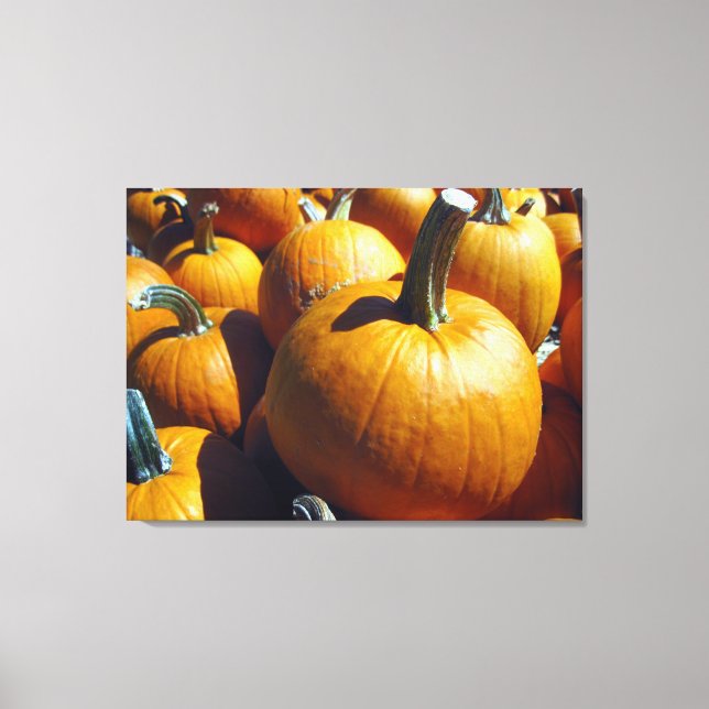 Pumpkins Canvas (Front)