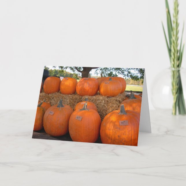 Pumpkins Card (Front)