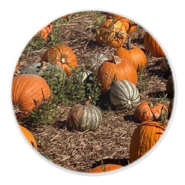 Pumpkins Ceramic Knob (Front)