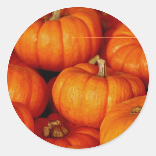 Pumpkins Classic Round Sticker (Front)