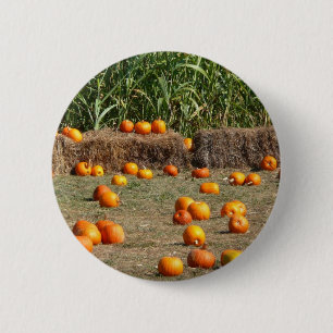 Pumpkins, Corn and Hay Autumn Harvest Photography 2 Inch Round Button