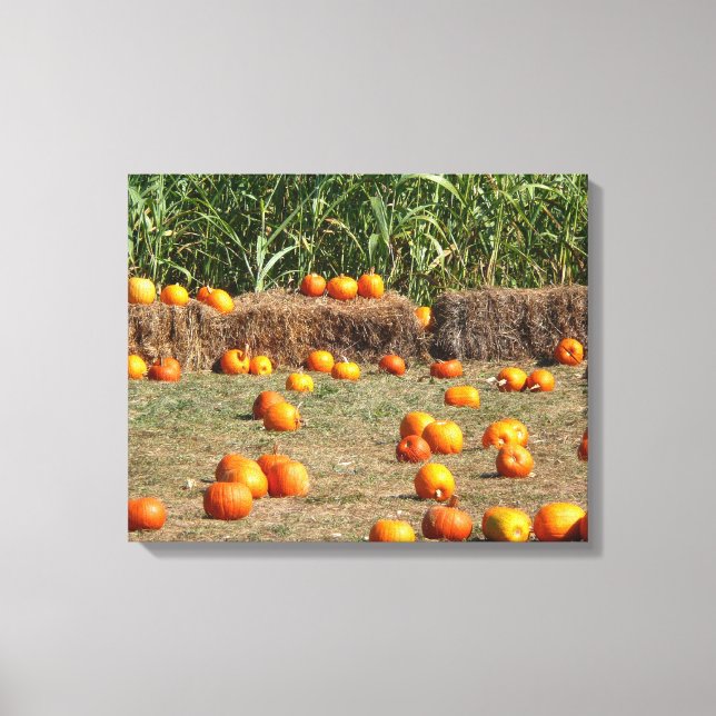 Pumpkins, Corn and Hay Autumn Harvest Photography Canvas Print (Front)