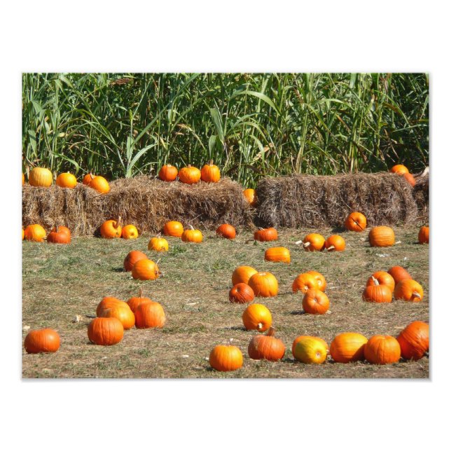 Pumpkins, Corn and Hay Autumn Harvest Photography Photo Print (Front)