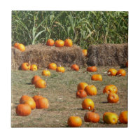 Pumpkins, Corn and Hay Autumn Harvest Photography