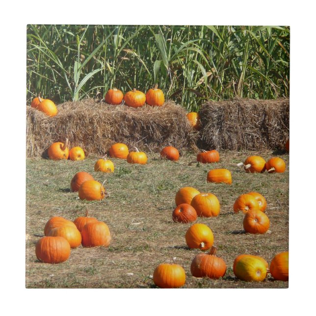 Pumpkins, Corn and Hay Autumn Harvest Photography Tile (Front)