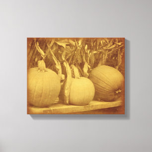 Pumpkins Cornstalks Fall Vintage  Canvas Print