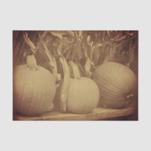 Pumpkins Cornstalks Fall Vintage Look Decoupage Tissue Paper