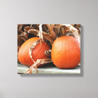 Pumpkins Dried Corn Stalks Autumn