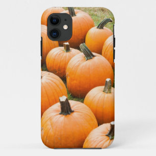 Pumpkins for Sale at a Farmer's Market iPhone 11 Case