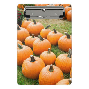 Pumpkins for Sale at a Farmer's Market Mini Clipboard