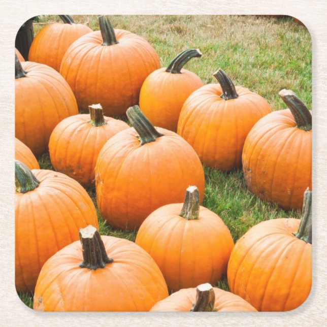 Pumpkins for Sale at a Farmer's Market Square Paper Coaster (Front)