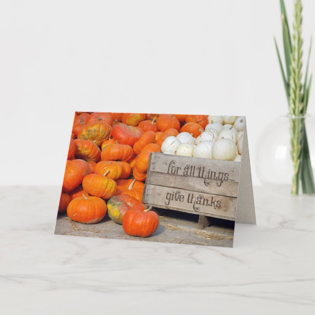 Pumpkins for Thanksgiving Thanks Thank You Card (Front)