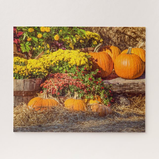 Pumpkins in Fall Jigsaw Puzzle (Horizontal)
