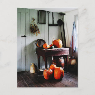 Pumpkins in Kitchen Postcard