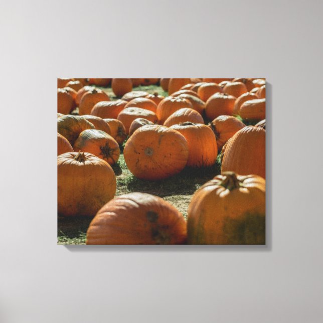 Pumpkins Laid Out For Halloween  Canvas Print (Front)