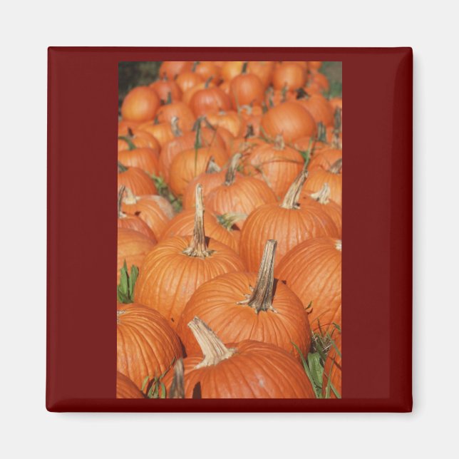 PUMPKINS! MAGNET (Front)