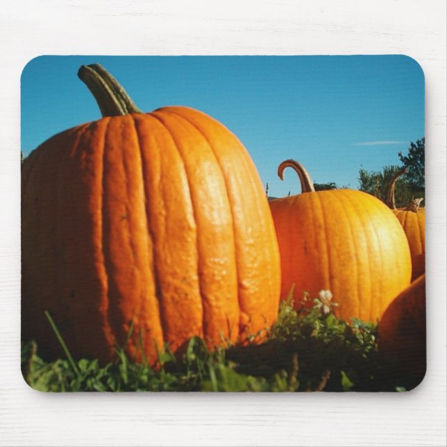 Pumpkins Mouse Pad (Front)