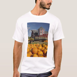 Pumpkins on farm in autumn near Concord, 2 T-Shirt