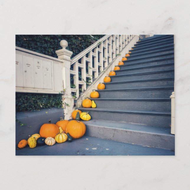 Pumpkins on Staircase Postcard (Front)