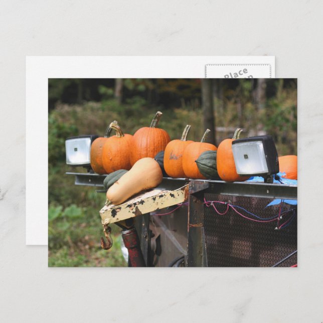 Pumpkins On Truck Country Personalized Postcard (Front/Back)