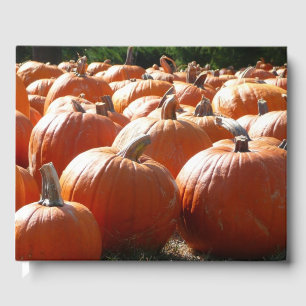 Pumpkins Photo for Fall, Halloween or Thanksgiving Guest Book