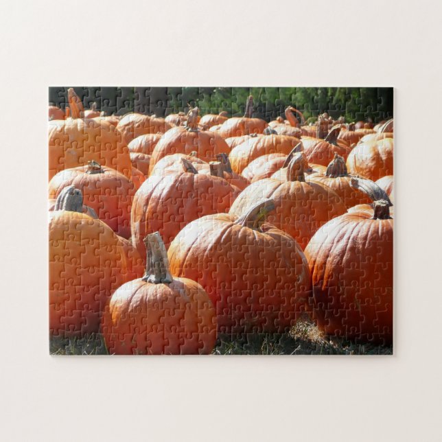 Pumpkins Photo for Fall, Halloween or Thanksgiving Jigsaw Puzzle (Horizontal)