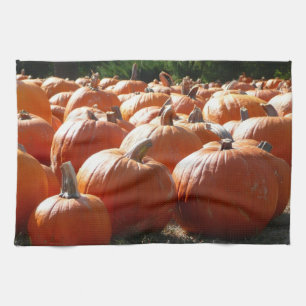 Pumpkins Photo for Fall, Halloween or Thanksgiving Kitchen Towel