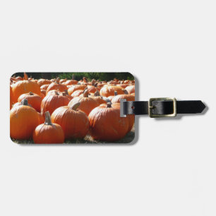 Pumpkins Photo for Fall, Halloween or Thanksgiving Luggage Tag