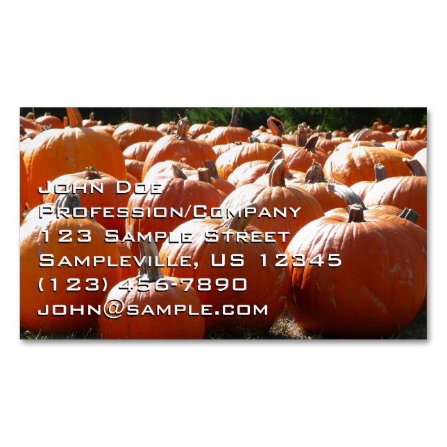 Pumpkins Photo for Fall, Halloween or Thanksgiving Magnetic Business Card (Front)