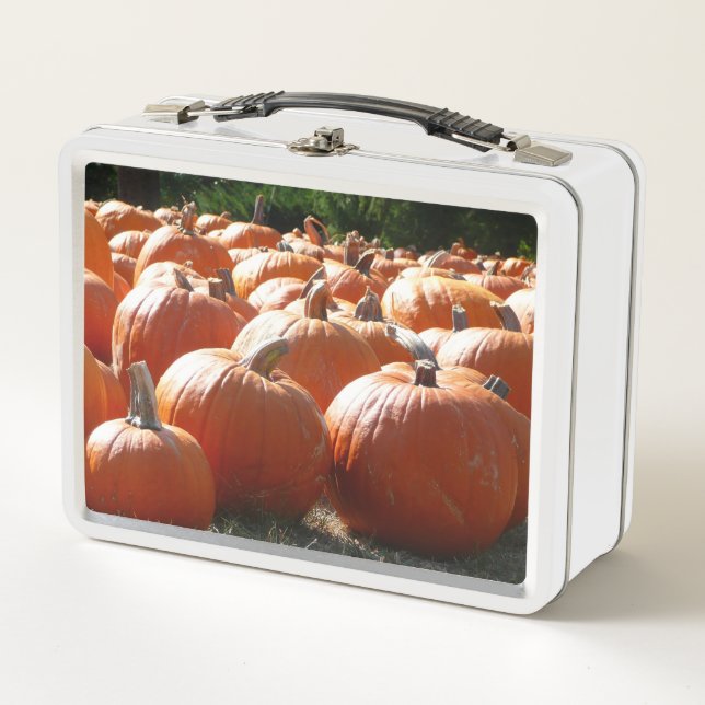Pumpkins Photo for Fall, Halloween or Thanksgiving Metal Lunch Box (Front)