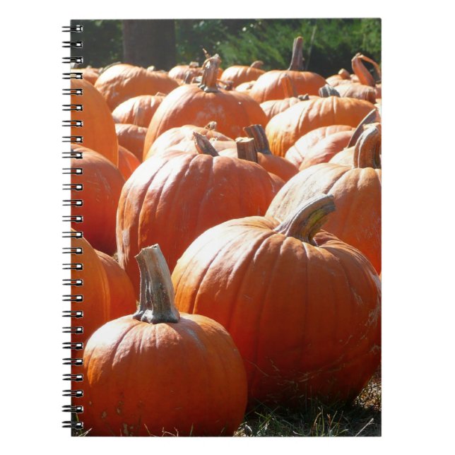 Pumpkins Photo for Fall, Halloween or Thanksgiving Notebook (Front)