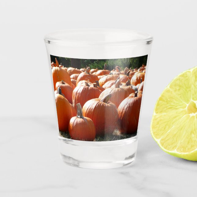 Pumpkins Photo for Fall, Halloween or Thanksgiving Shot Glass (Front)