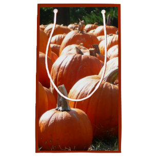 Pumpkins Photo for Fall, Halloween or Thanksgiving Small Gift Bag