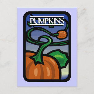 Pumpkins Postcard