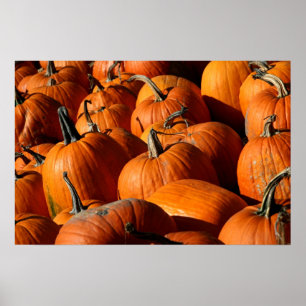 Pumpkins Poster