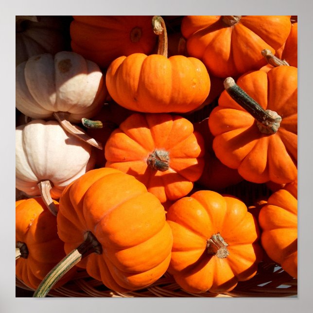 Pumpkins Poster (Front)