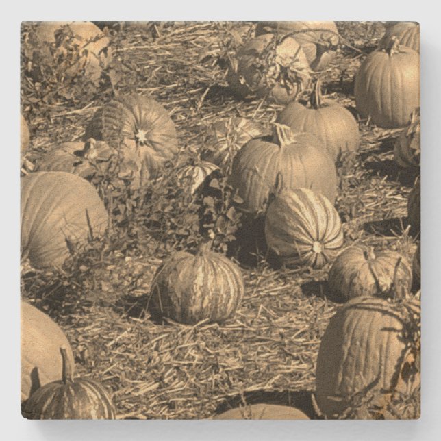 Pumpkins Stone Coaster (Front)