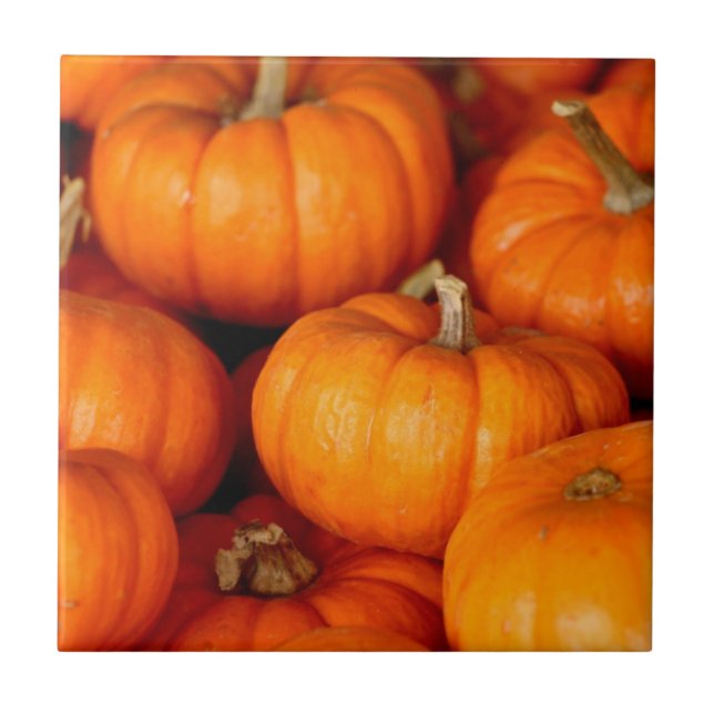 Pumpkins Tile (Front)