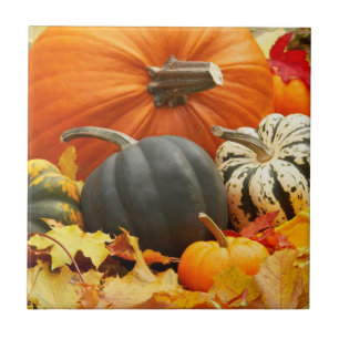 Pumpkins Tile Trivet