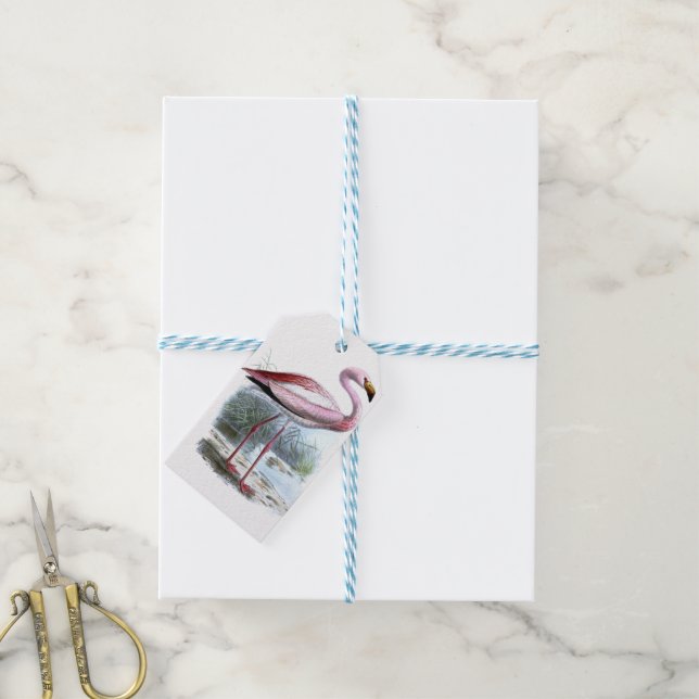 Puna Flamingo Vintage Illustration Gift Tags (With Twine)