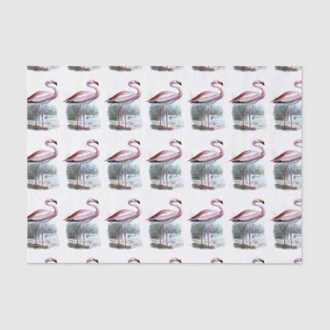 Puna Flamingo Vintage Illustration Tissue Paper (Front)