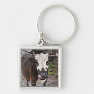 punakha district bhutan keychain