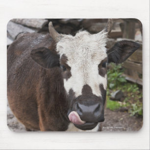 punakha district bhutan mouse pad