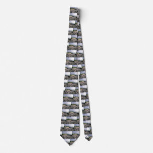 Punaluʻu Black Sand Beach Hawaii Big Island Tie