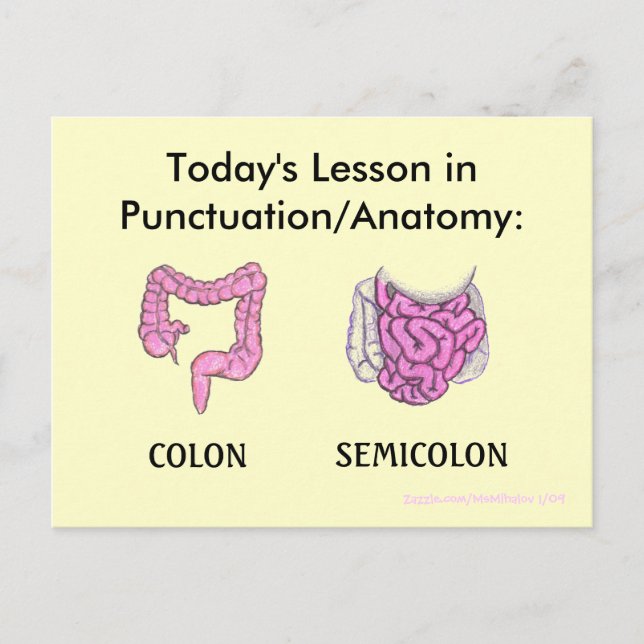 Punctuation/Anatomy Lesson postcard (Front)