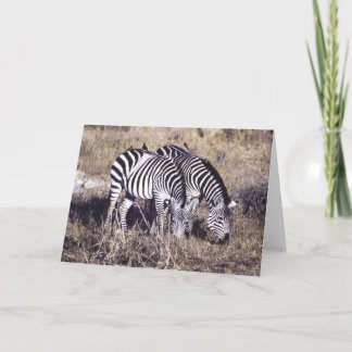 Pundamilia (Zebra) Card