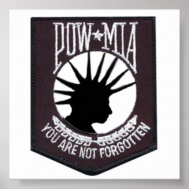 Punk-MIA-II Poster (Front)