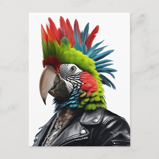 Punk Parrot Postcard (Front)