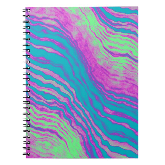 punk pinata :  notebook (Front)