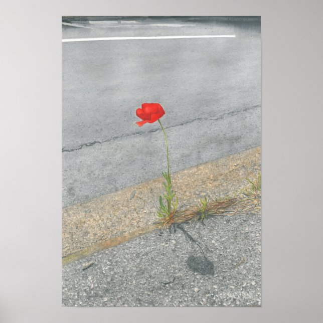Punk Poppy (Arthur) Poster (Front)